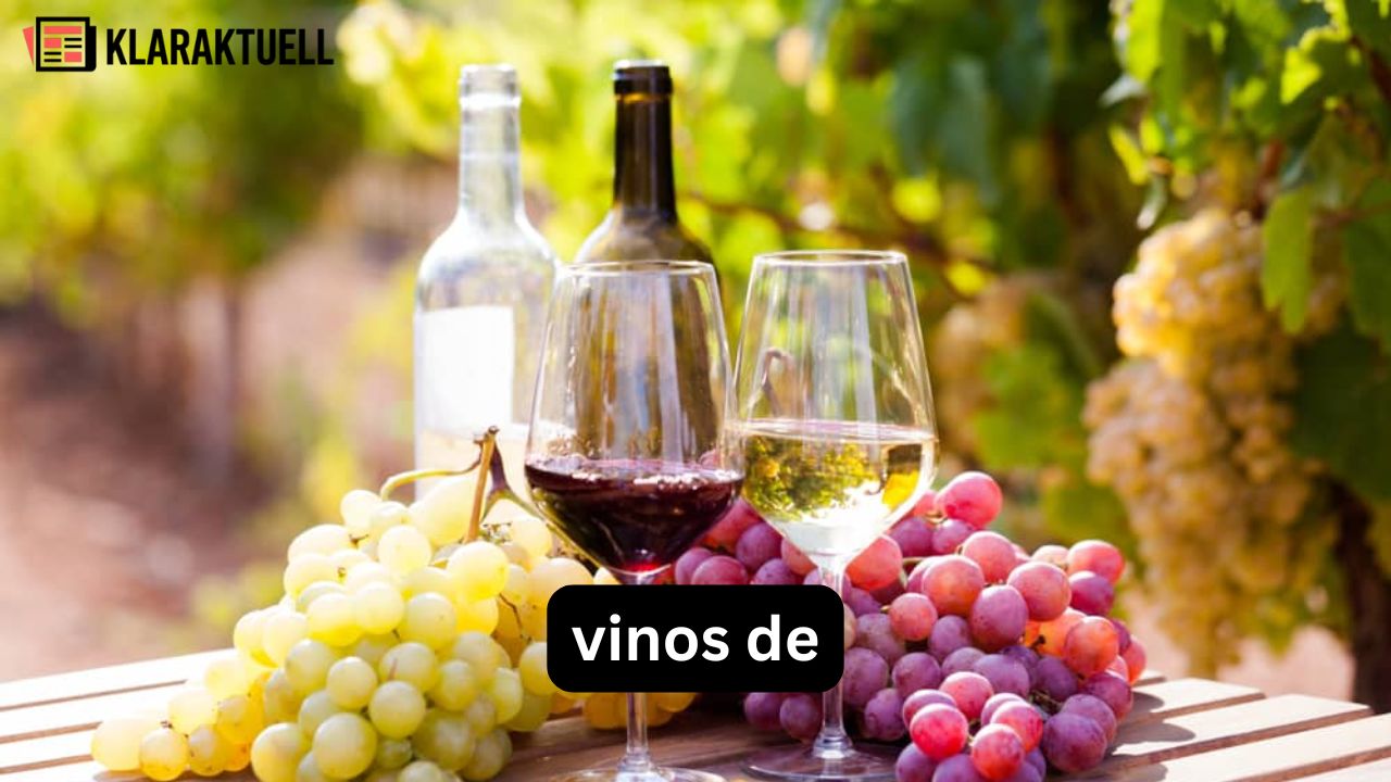 Vinos de: So finden Sie den passenden Wein für jeden Anlass