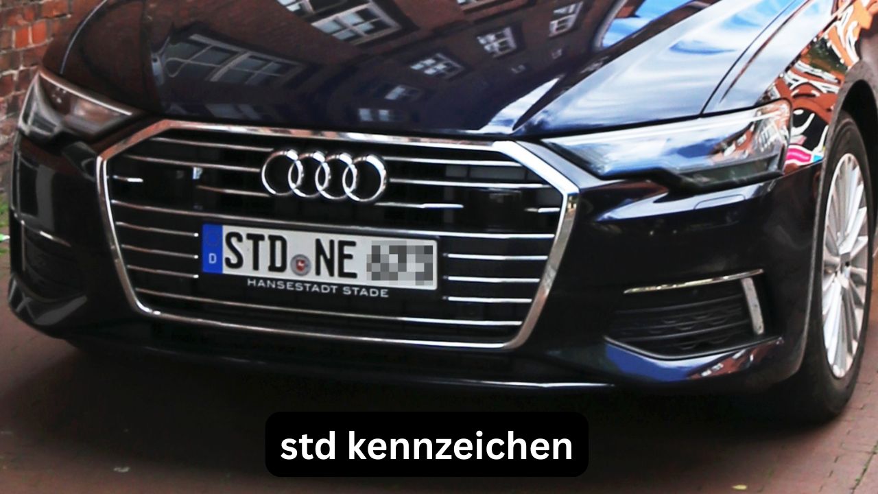 STD Kennzeichen: Herkunft, Bedeutung und praktische Tipps