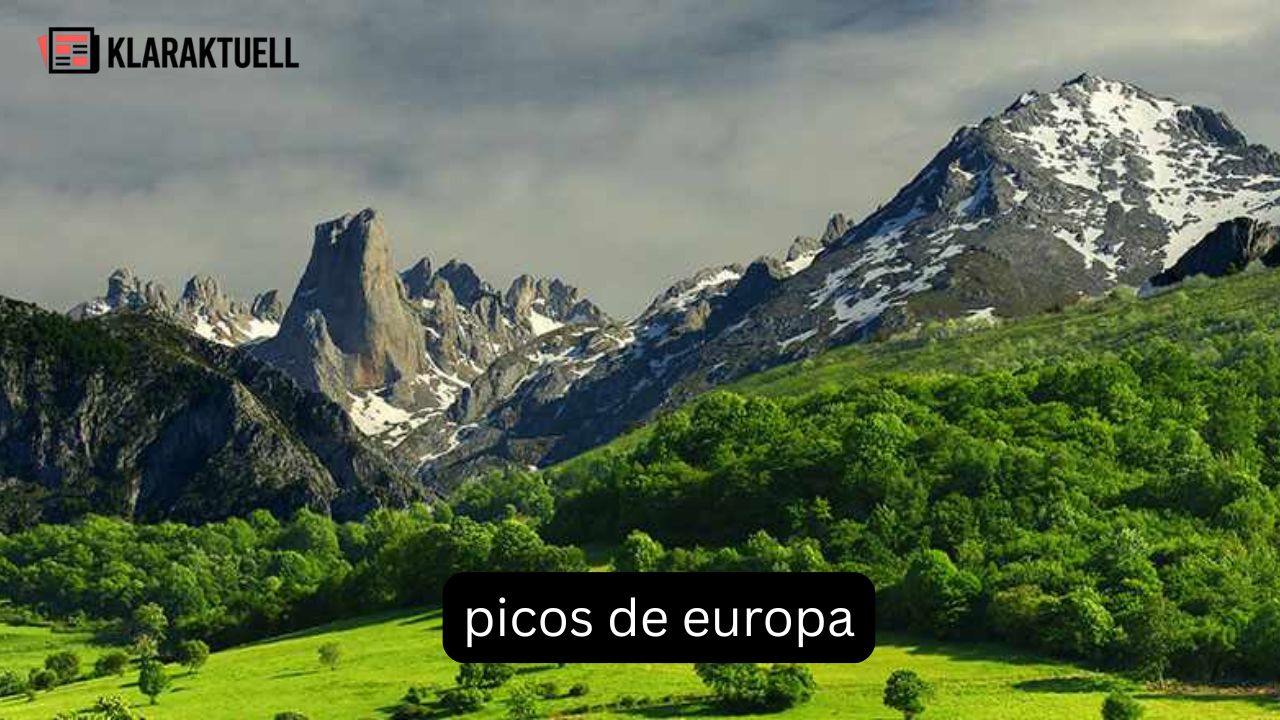 Picos de Europa