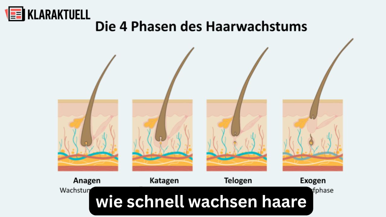 Wie schnell wachsen Haare? Das ist realistisch